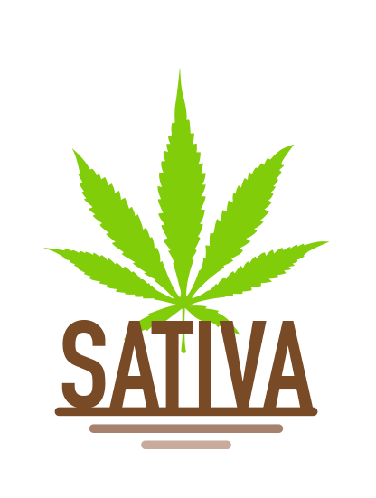 Sativa