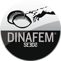 Dinafem