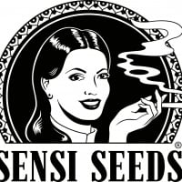 Sensi Seeds